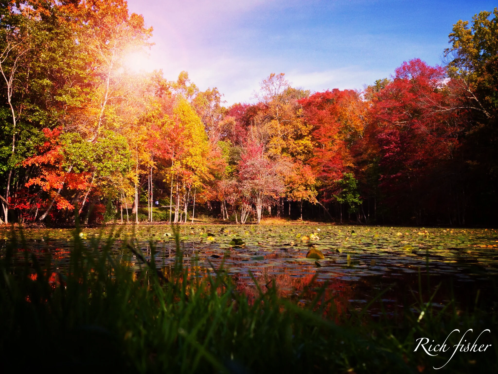 "Fall Colors"