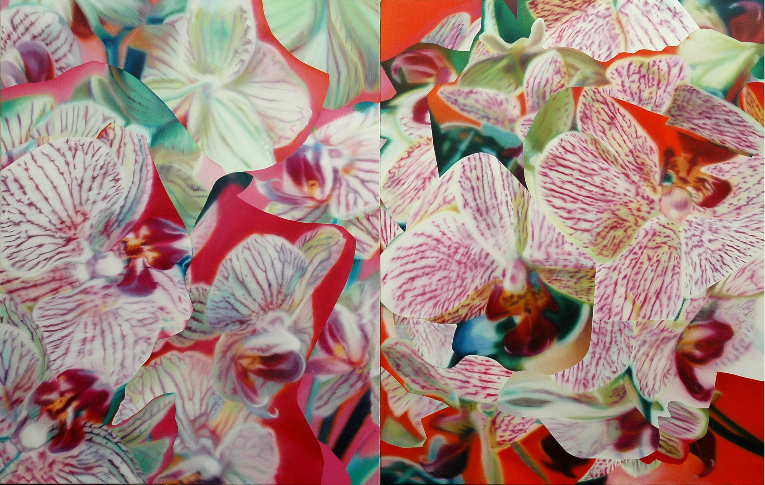   Untitled , 2005, oil on canvas, 146 x 228cm (diptych). Private collection, France 