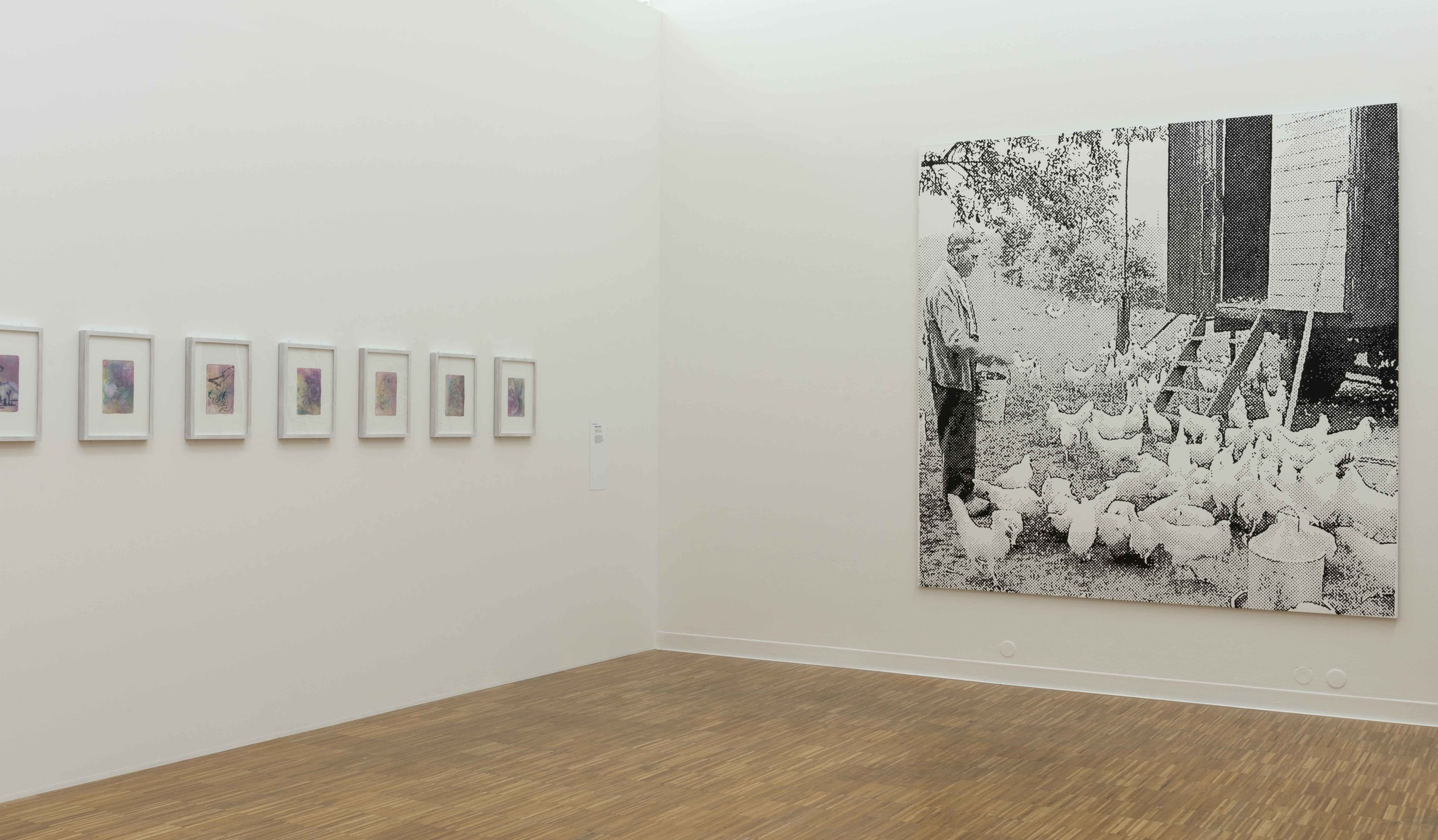   De Picasso à Warhol , Une Décennie d'Acquisitions, Musée de Grenoble (FR)&nbsp;2015. Curator Guy Tosatto.&nbsp;&nbsp;Artist in view: Sigmar Polke 