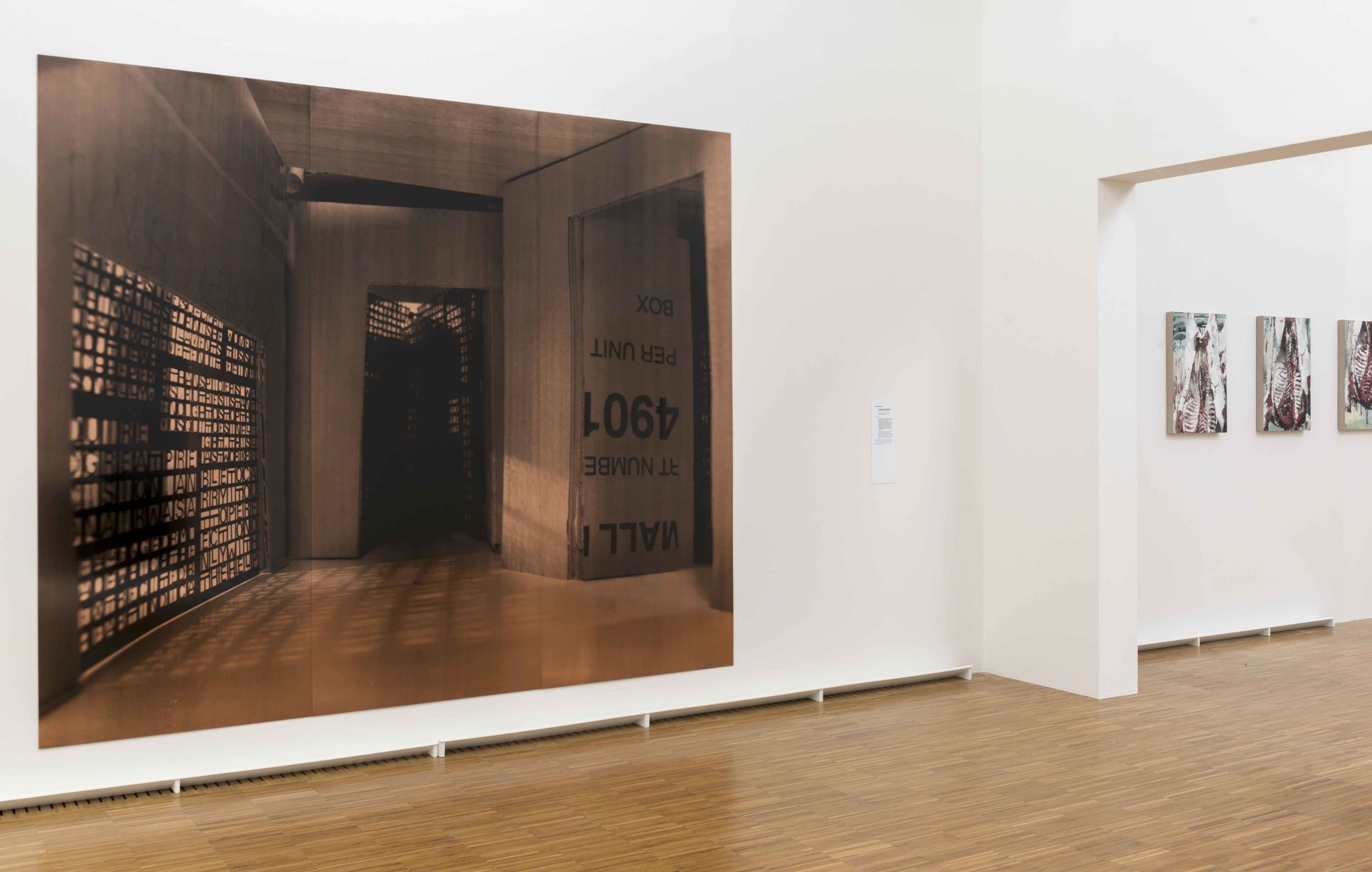   De Picasso à Warhol , Une Décennie d'Acquisitions, Musée de Grenoble (FR)&nbsp;2015. Curator Guy Tosatto.&nbsp;&nbsp;Artists in view: Cristina Iglesias, Philippe Cognee 