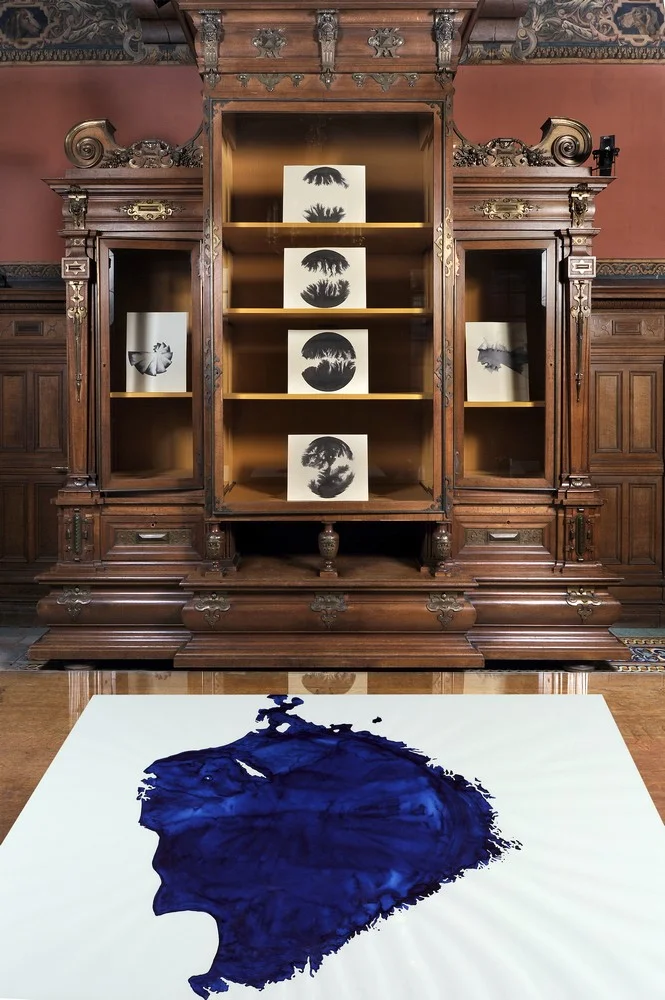 Vues , Domaine de Chamarande (FR), curator Lauranne Germond/COAL, 2013 © Laurence Godart.