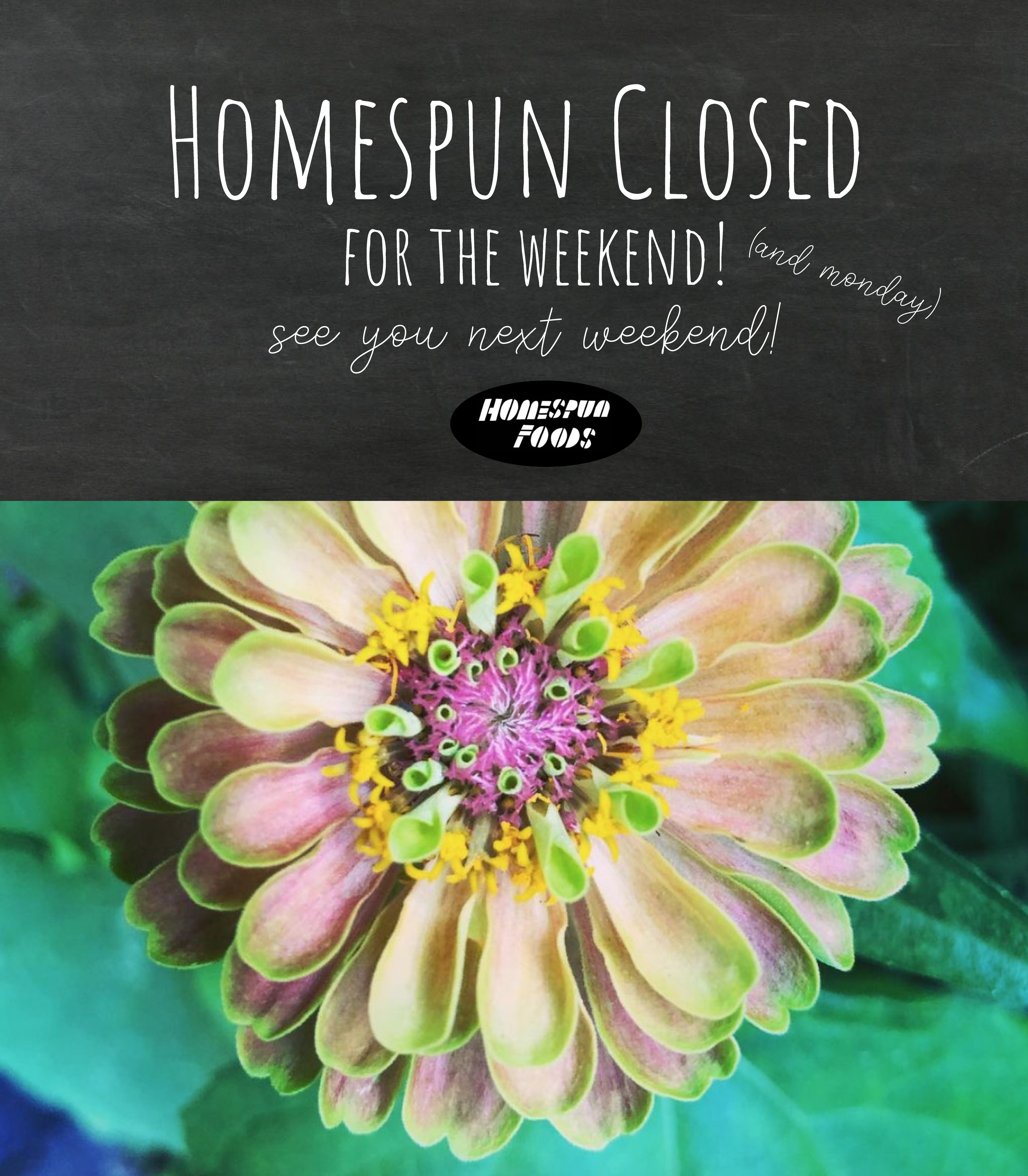 homespun-closed-weekend-monday.png