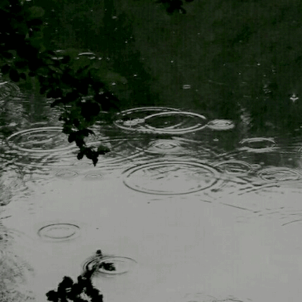 rain river.gif