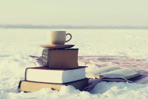 snowbook.jpg