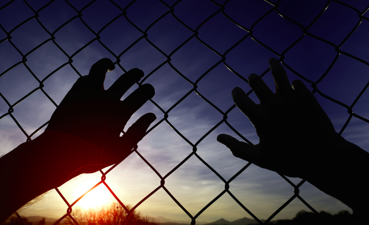 Hands on Fence.png