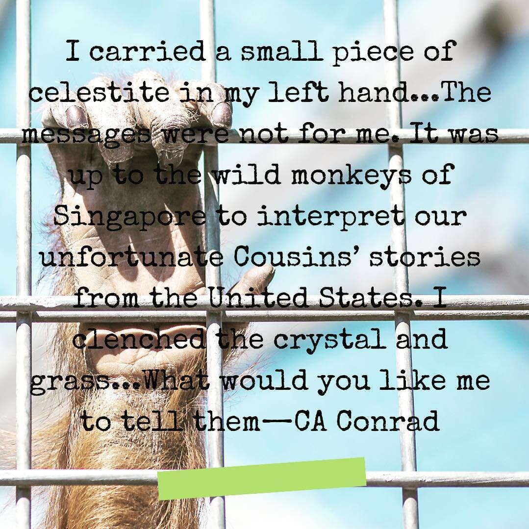 CA Conrad&rsquo;s ritual creates a carrier to transmit messages from imprisoned species to their free comrades. Using words to document the passage, we trace language and unpack its carrying capacity and capacity to carry. #poetry #writingcommunity #