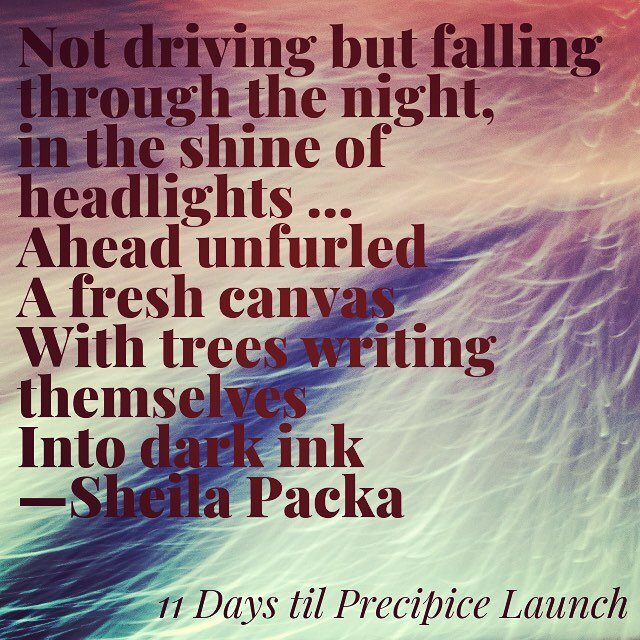 In &ldquo;Talvi/ Winter,&rdquo; Packa draws our knuckles around steering wheel and pen as our eyes squint against and then open to the pulse of storm, breath, word to page. Stay warm and awake with Packa: http://www.precipice-collective.org/ #sheilap
