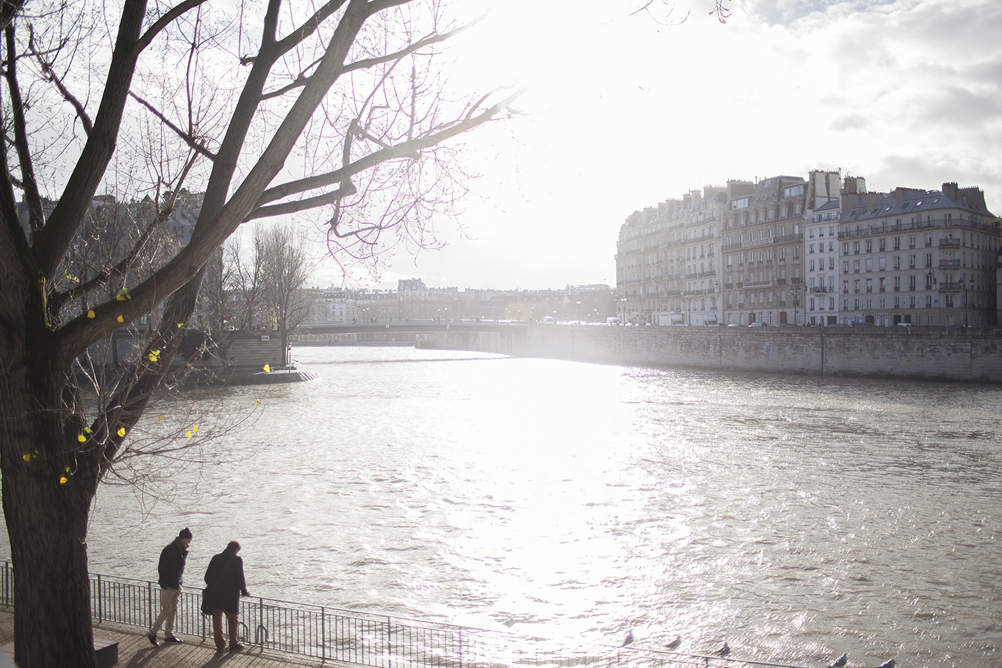   The Seine  