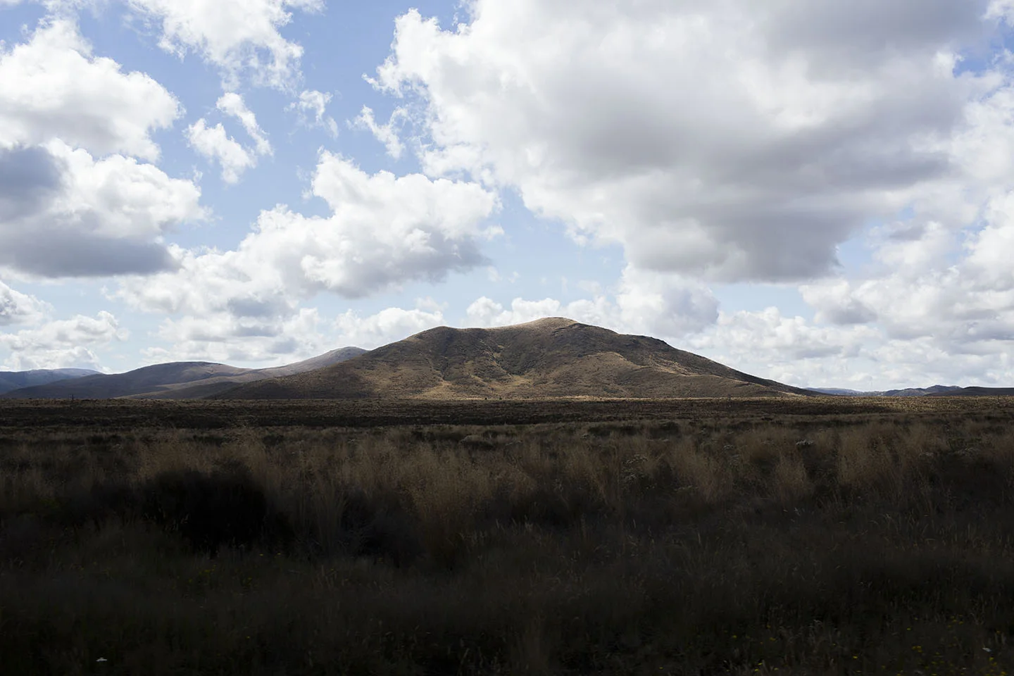New Zealand