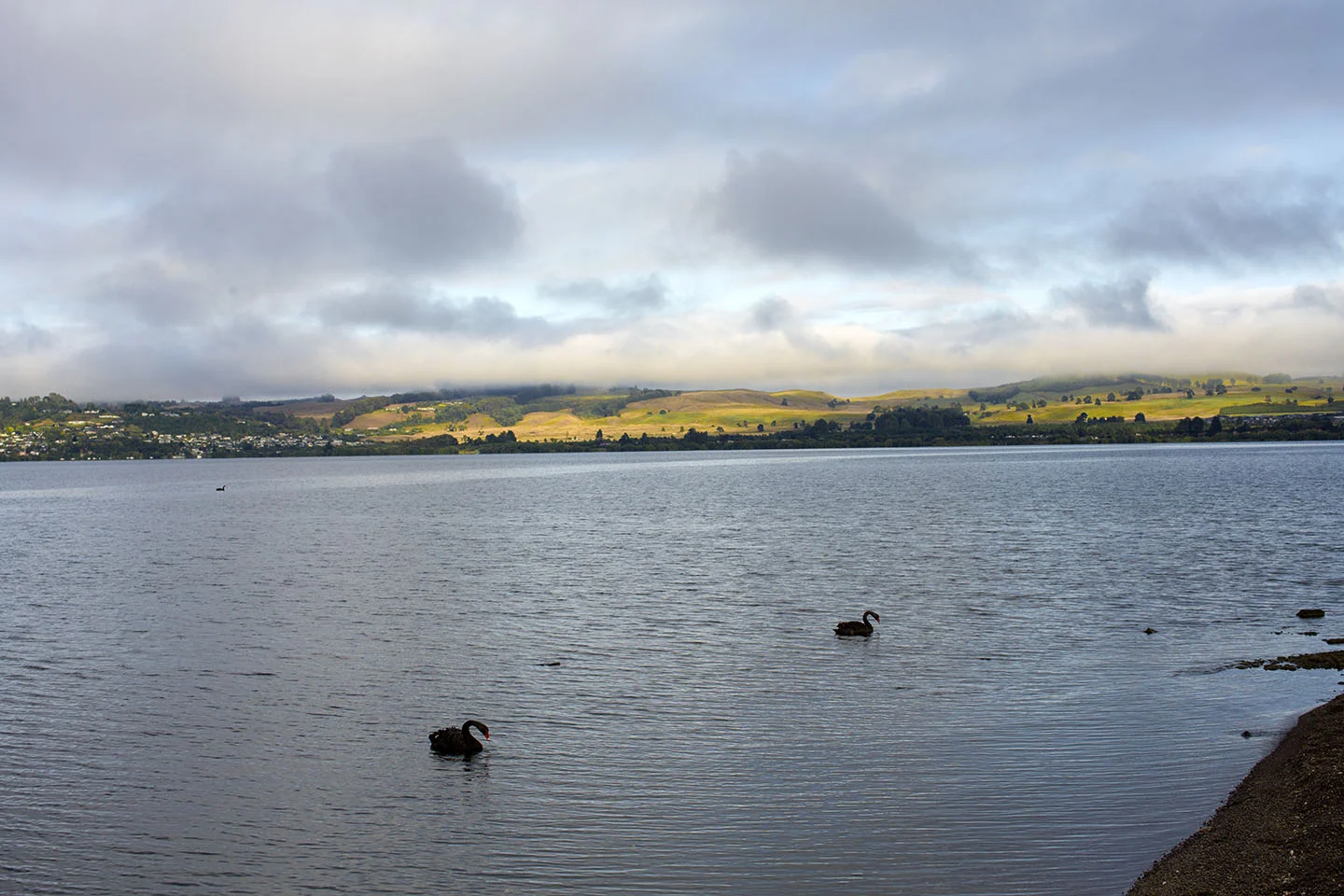 New Zealand