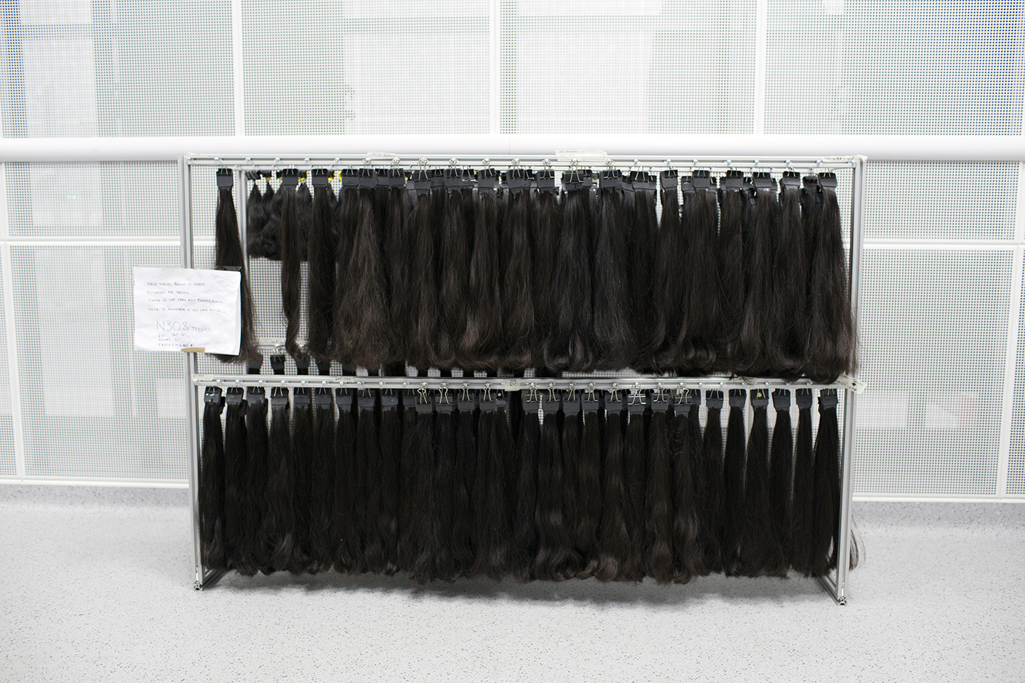 Human hair samples. 