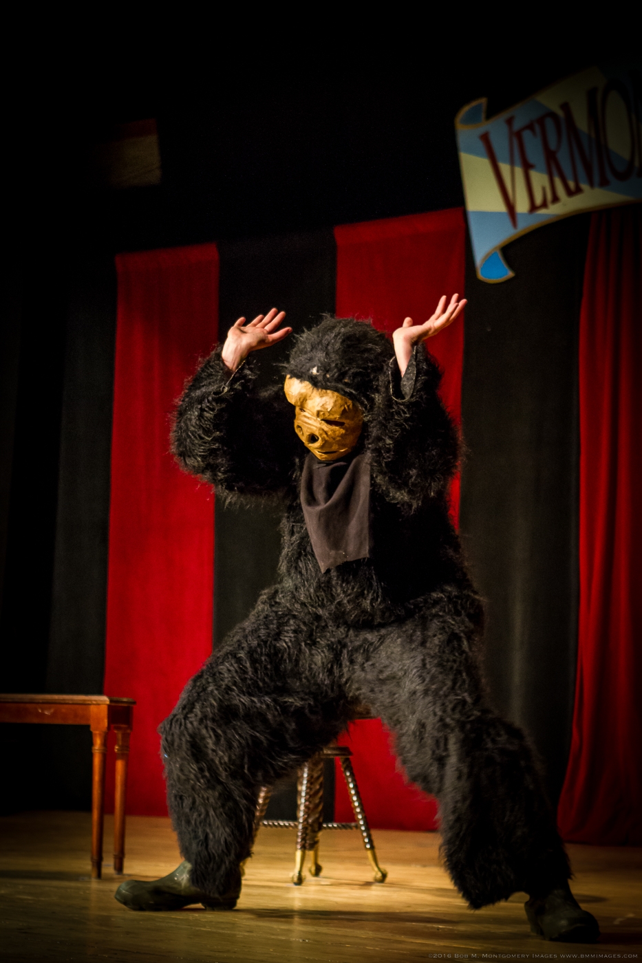 Vermont Vaudeville 20160513 - 0071.jpg