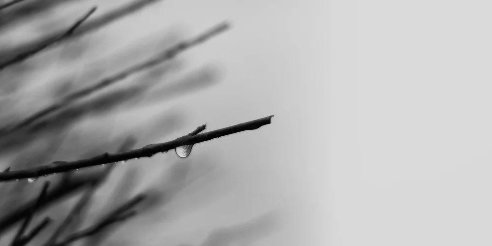 BMMI  20200329 - 0009.jpeg