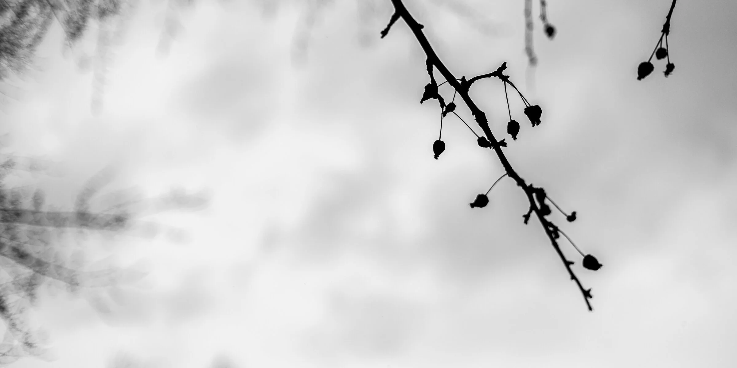 BMMI  20200329 - 0008.jpeg