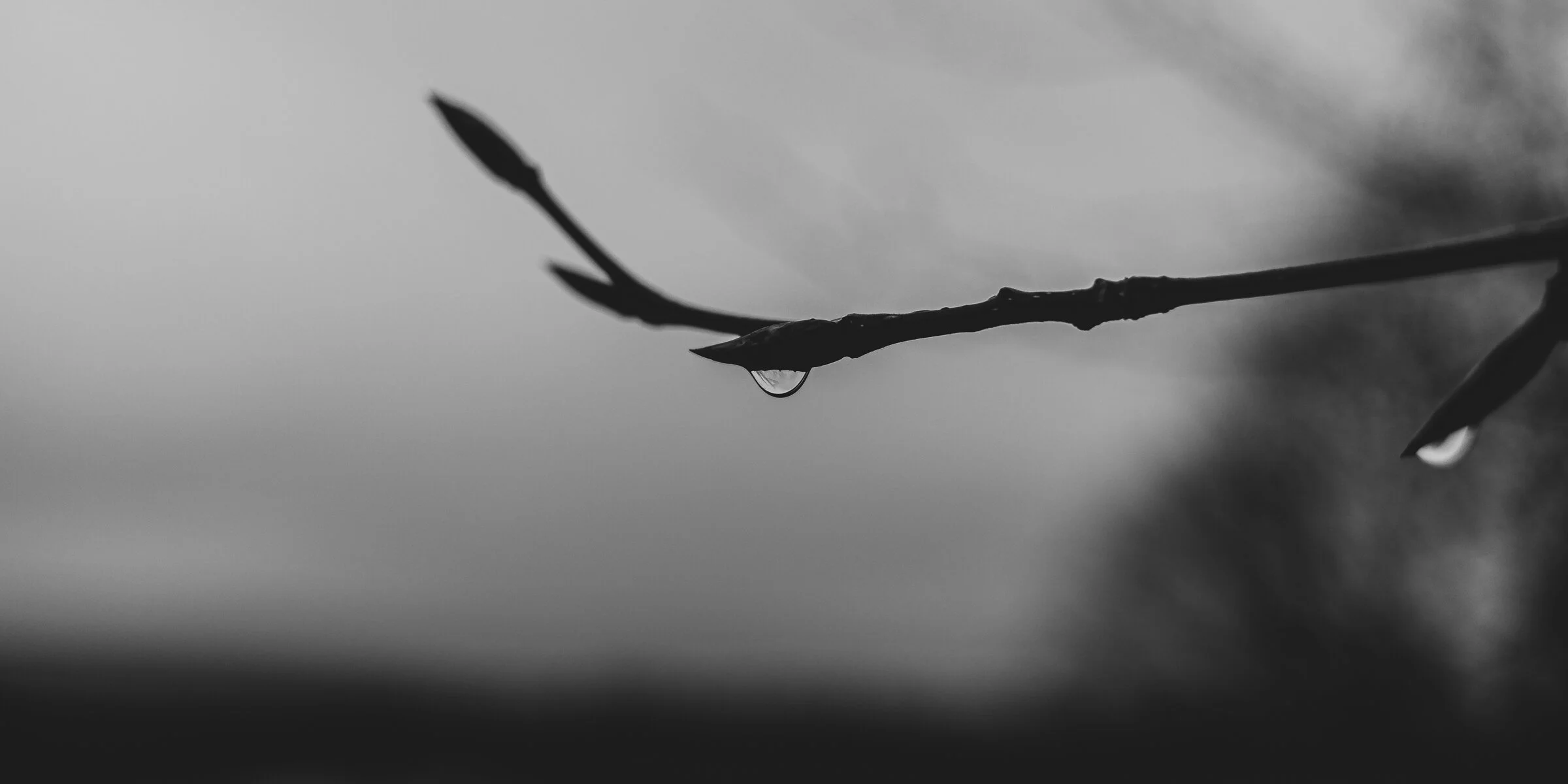 BMMI  20200329 - 0010.jpeg