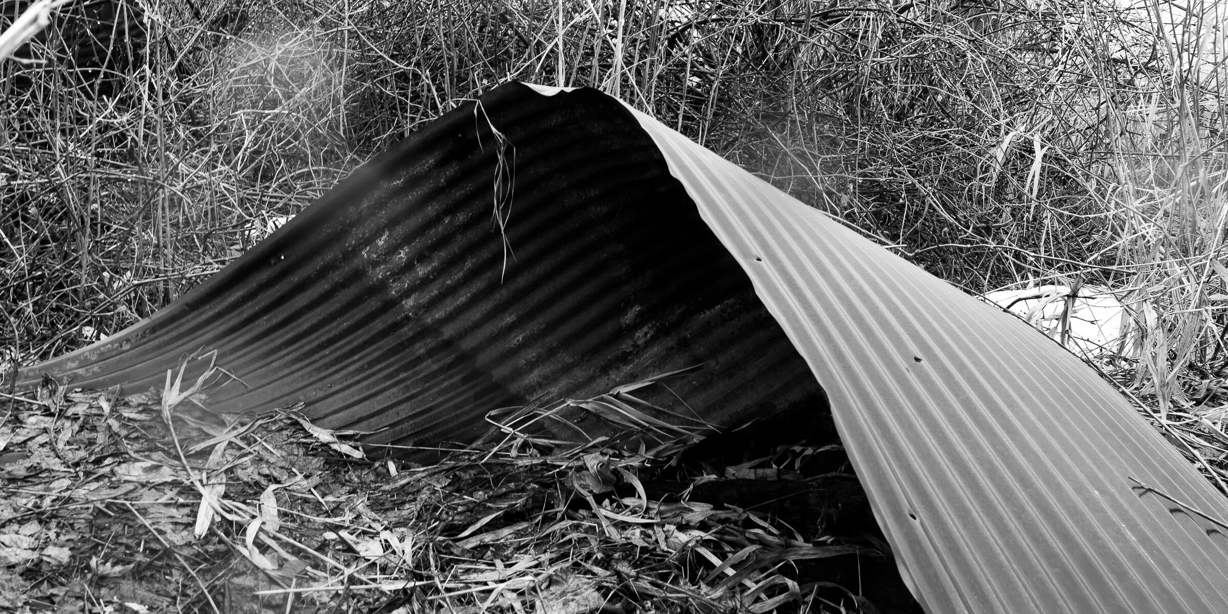 Monochromatic Study 5.4: Rusty Symphony