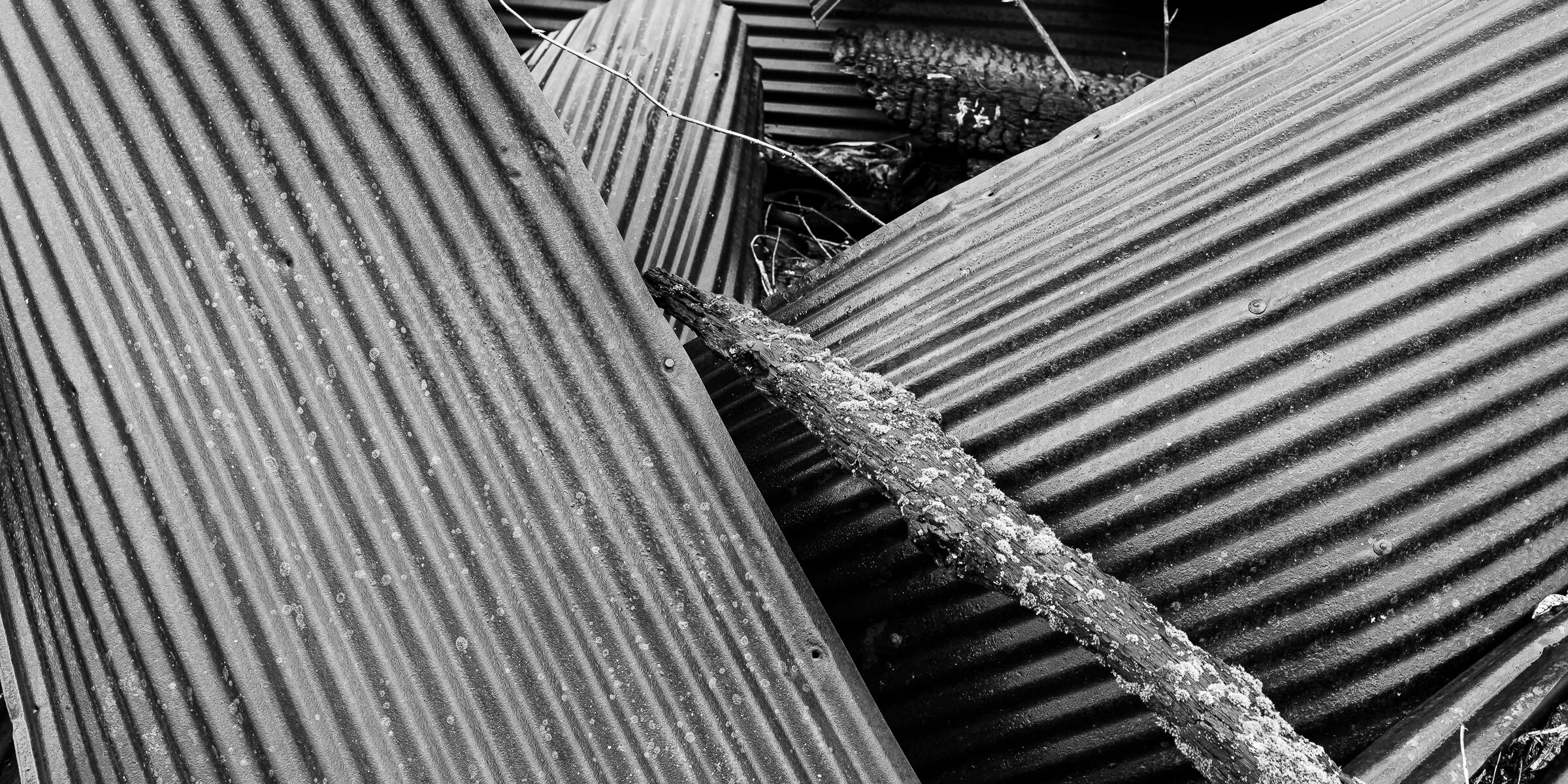 BMMI  20200329 - 0016.jpeg