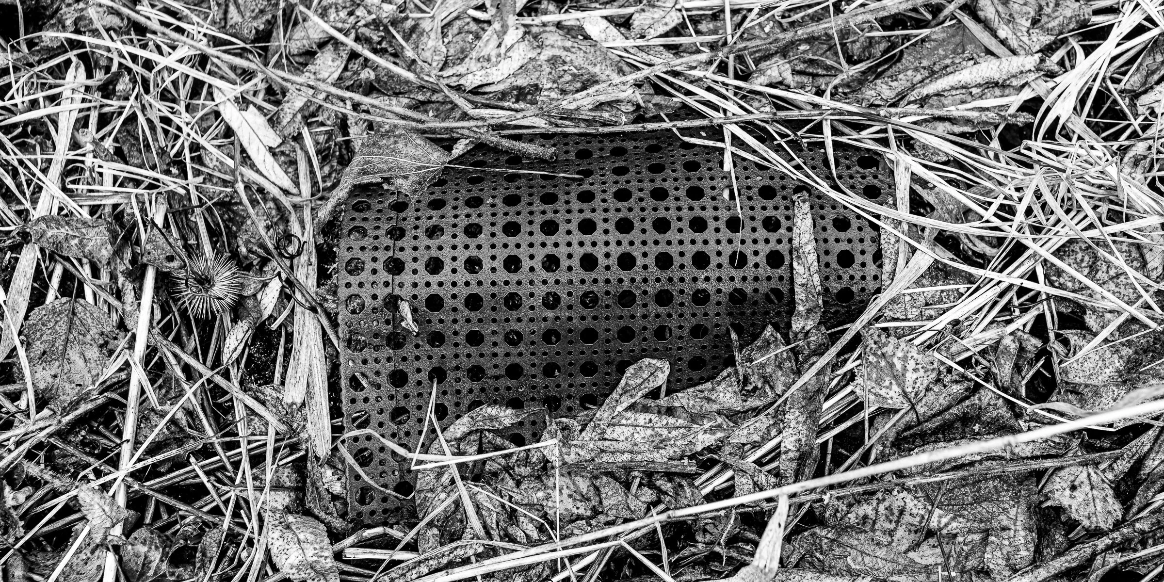 BMMI  20200329 - 0017.jpeg