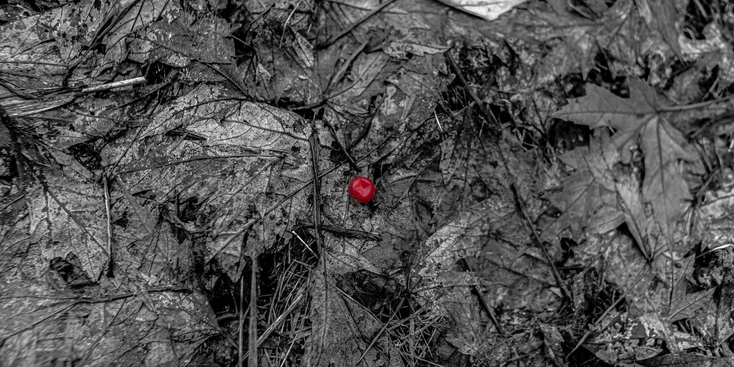 BMMI  20200329 - 0022.jpeg