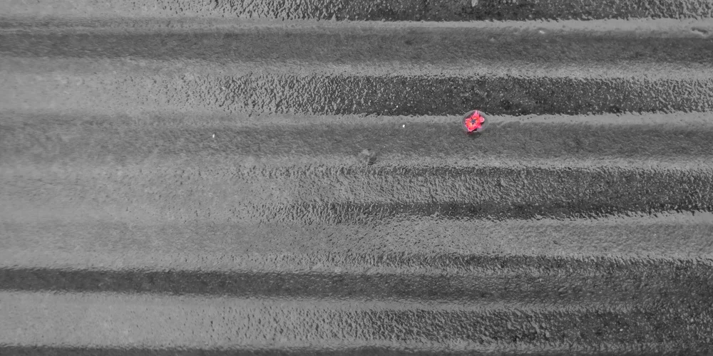 BMMI  20200329 - 0024.jpeg