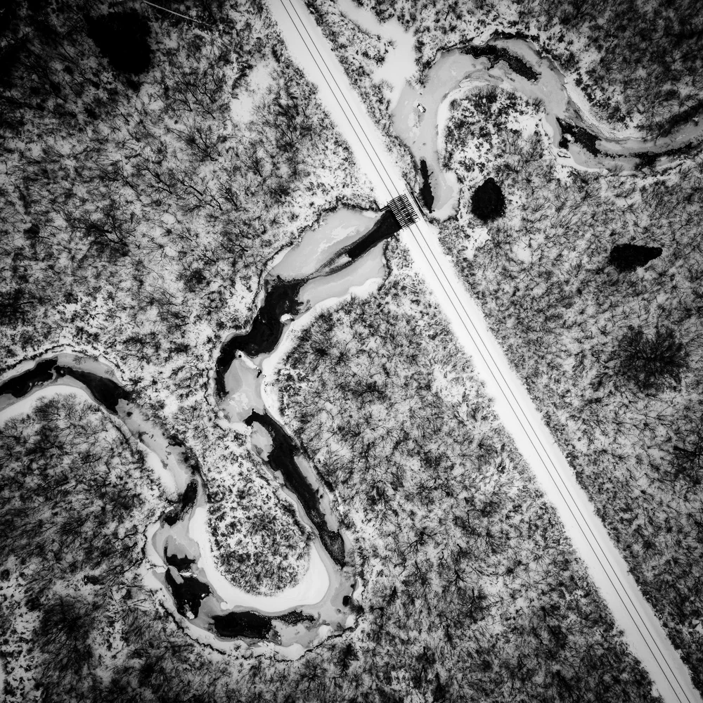 Bloomfield 20220106 - 0008.jpg