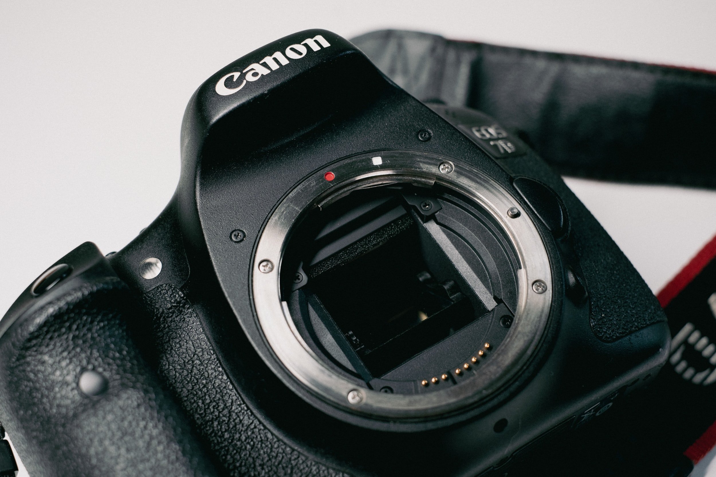 Canon EOS 7D Battery Error (flashing battery icon) Fix — Bob M. Montgomery  Images