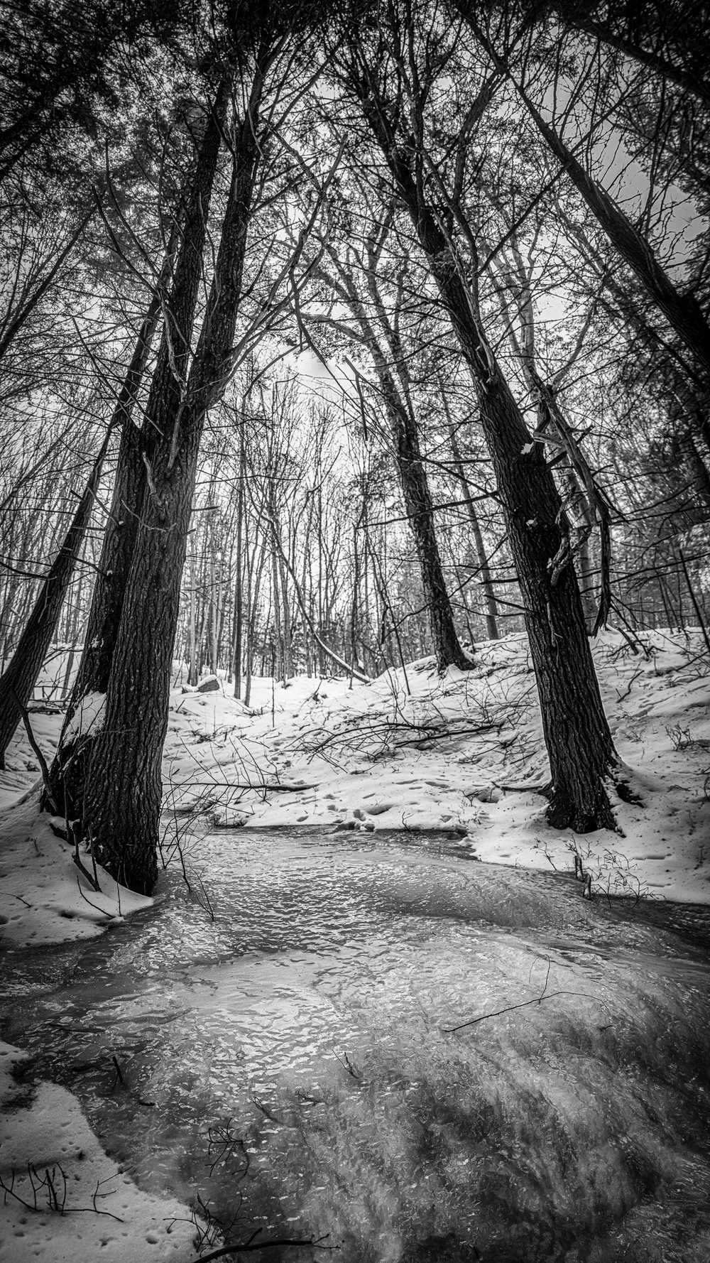 Wonder Land  - 0002.jpg