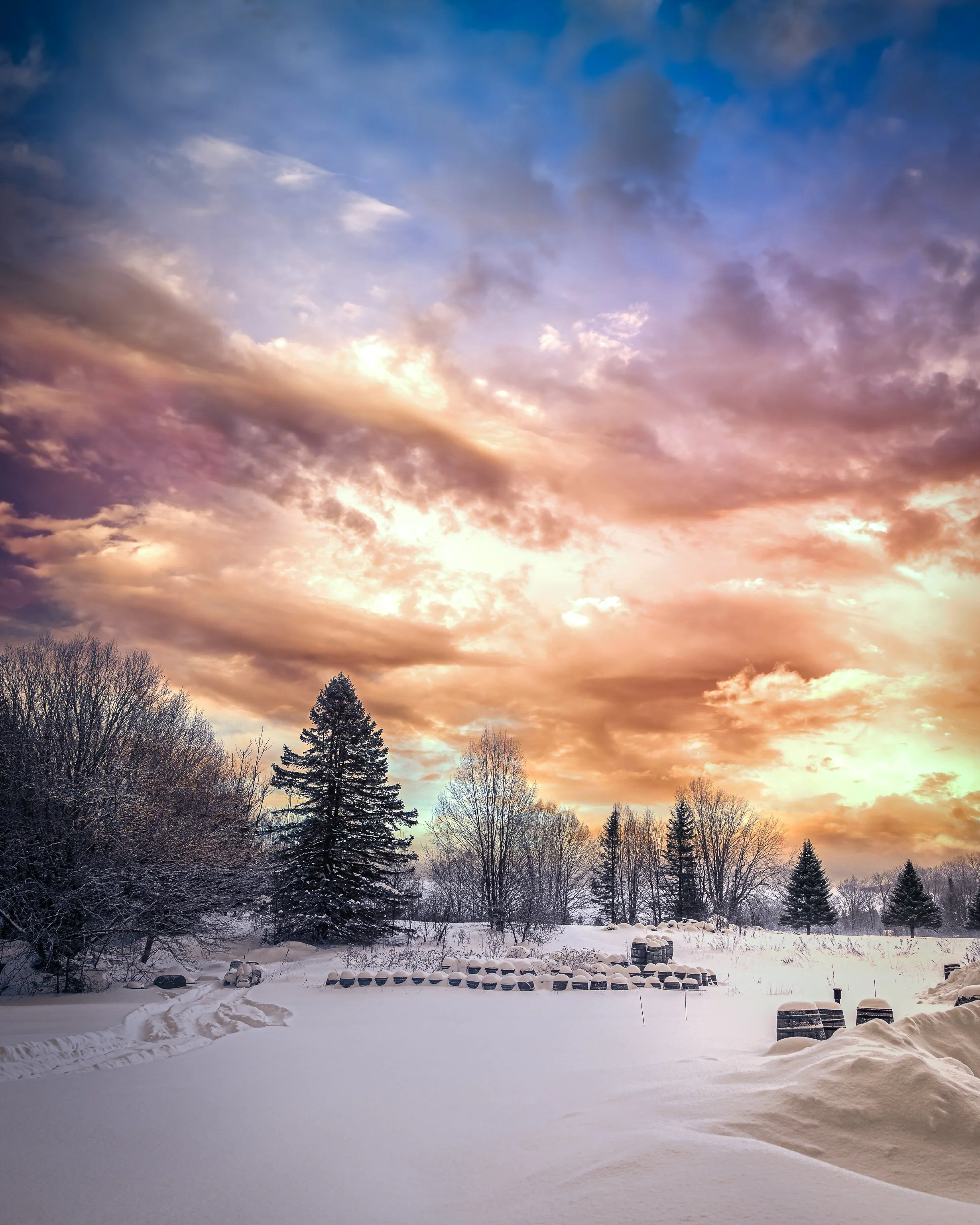 Fallow, Follow—Hail Well Met, Fellows