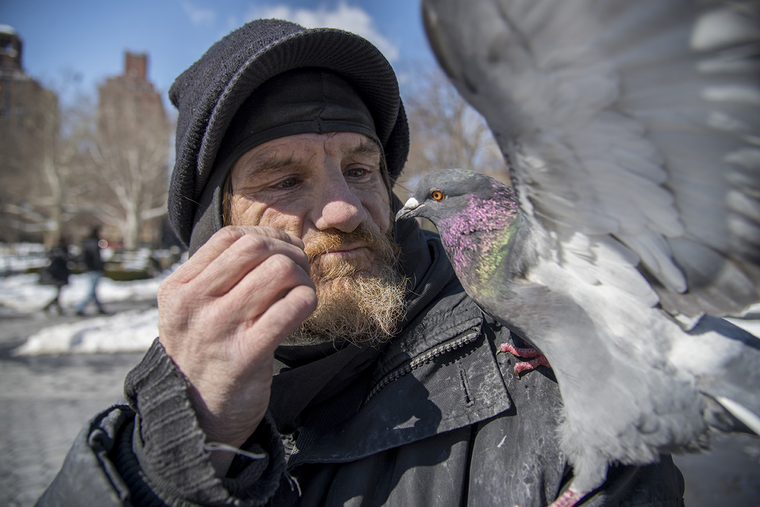  Larry Reddick, of New York, New York, feeds pigeons, as he does almost everyday, in Washington Square Park on March 2, 2015. Reddick has lived in New York City for about five years and discovered his interest in feeding pigeons when he was homeless 