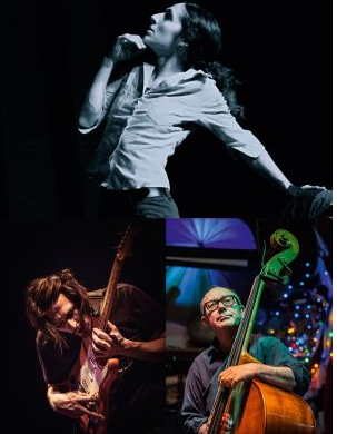 Oorsprong Curators Series