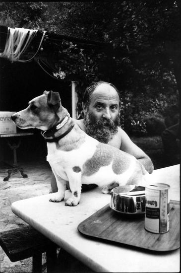 César