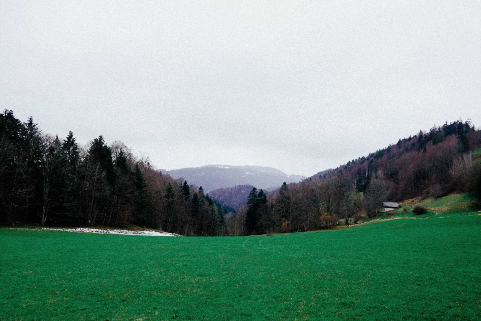DSCF4070.jpg