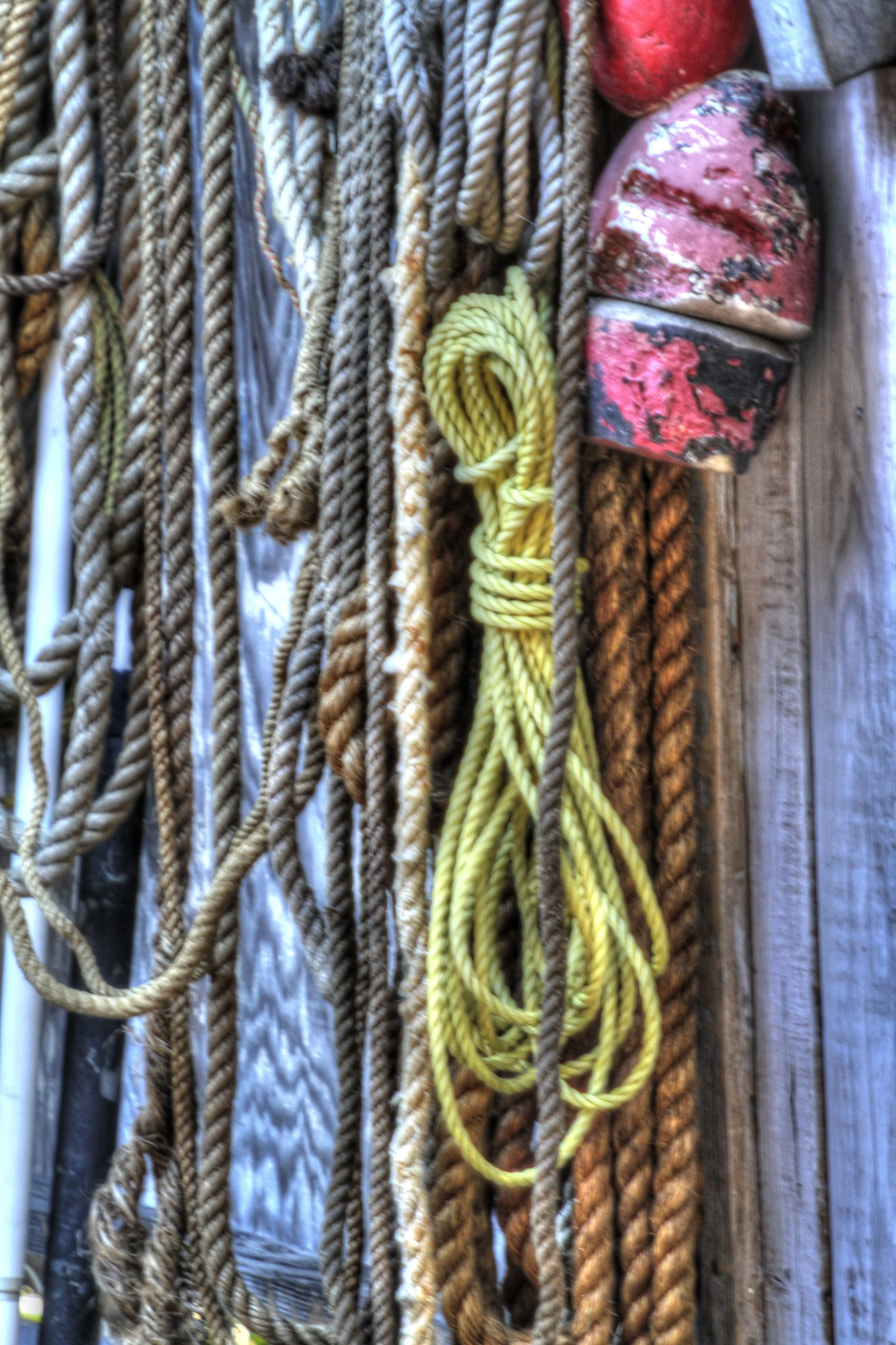 IMG_9042_tonemapped.jpg