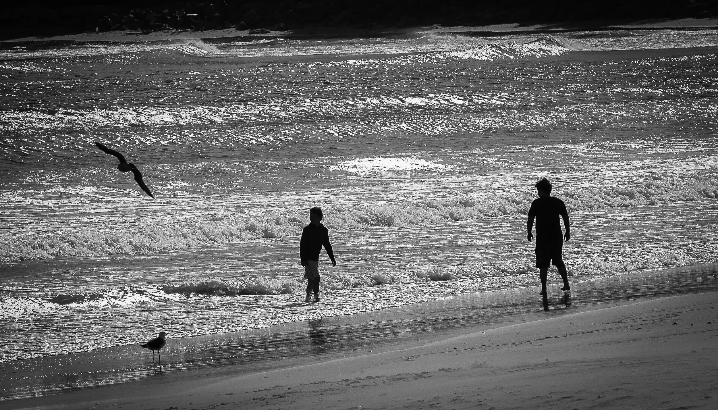 santa barbara-33.jpg