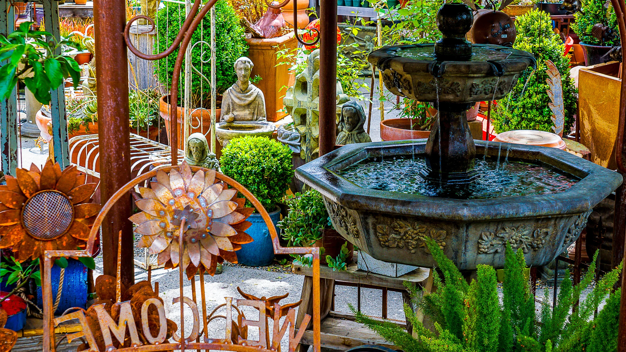 los olivos-20.jpg