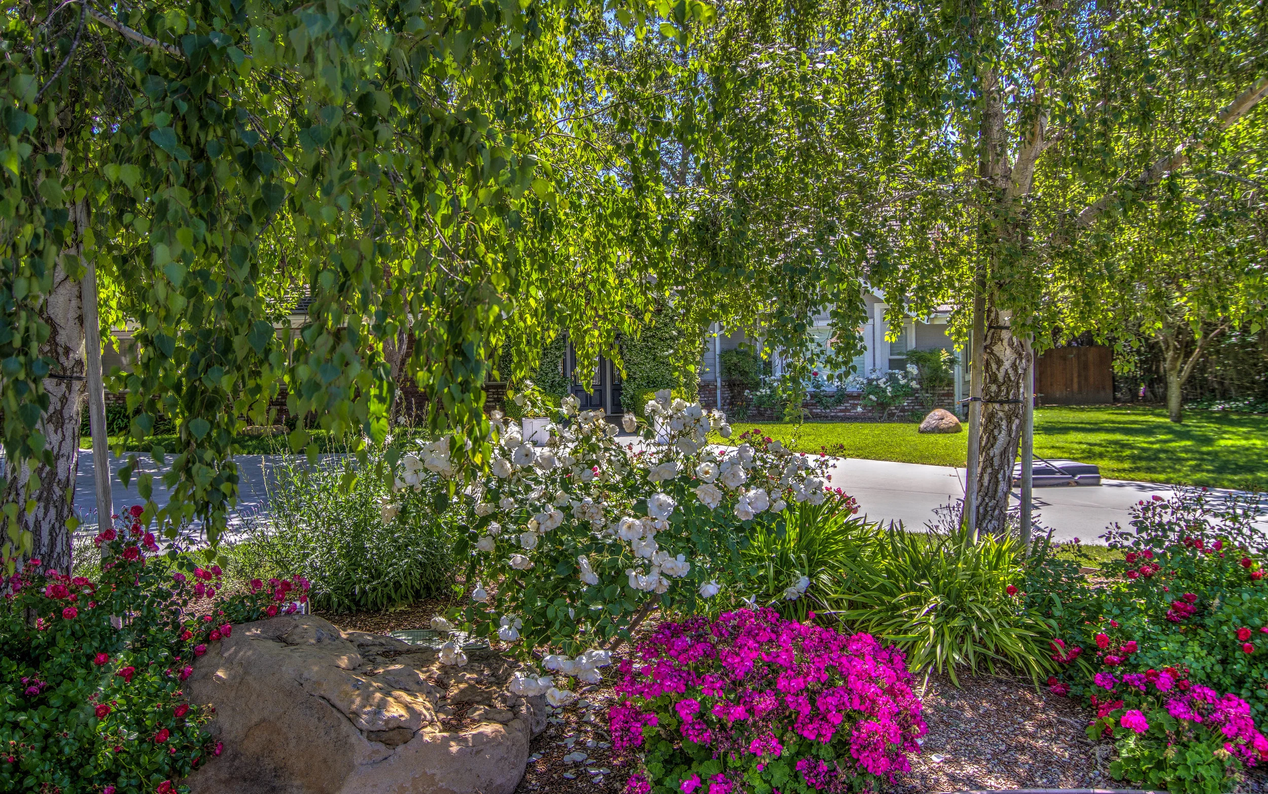 Carl Sealund Photography 8x10 -2.jpg