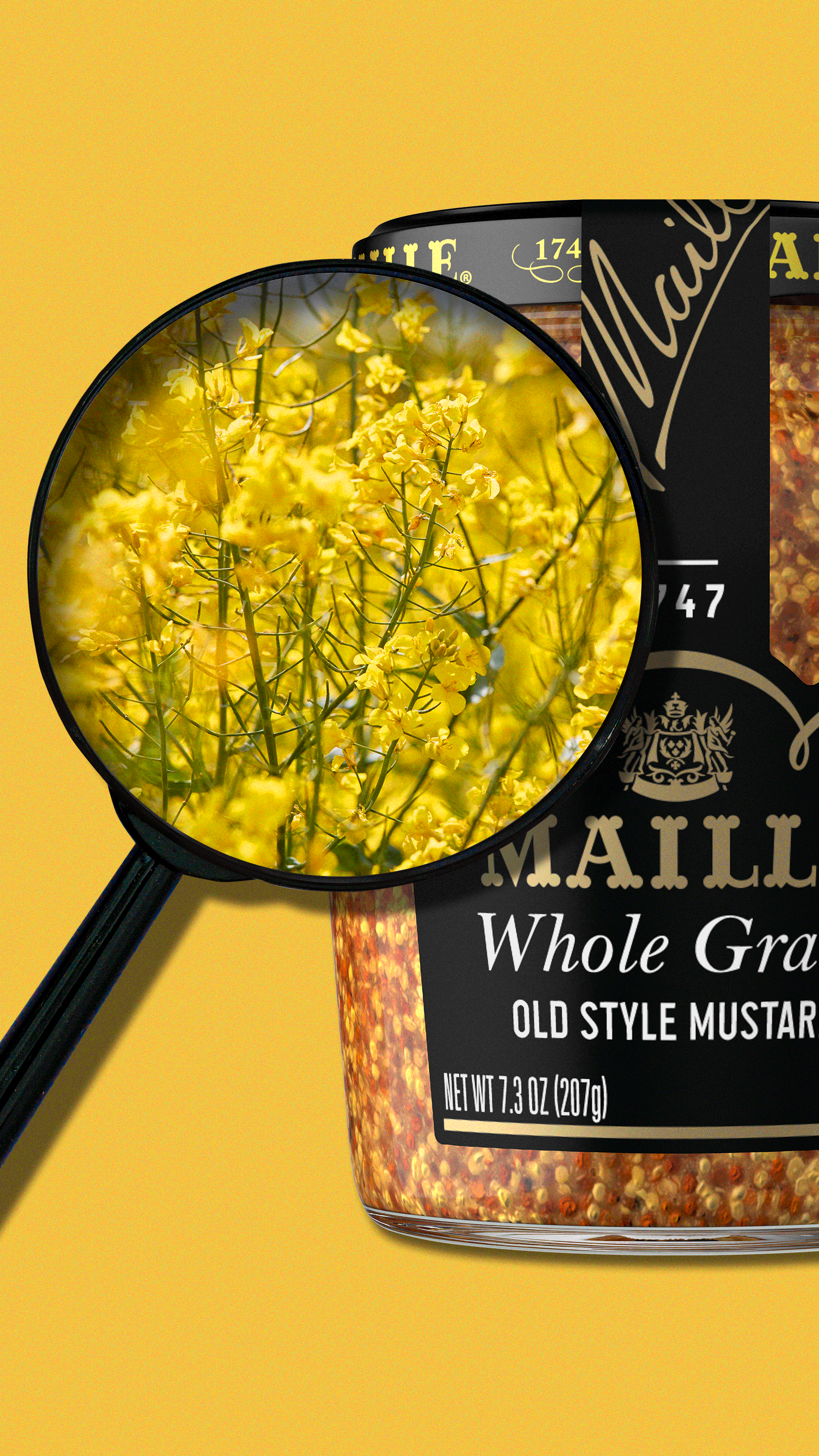 Maille_May_Magnifying-Glass_9x16-2.gif