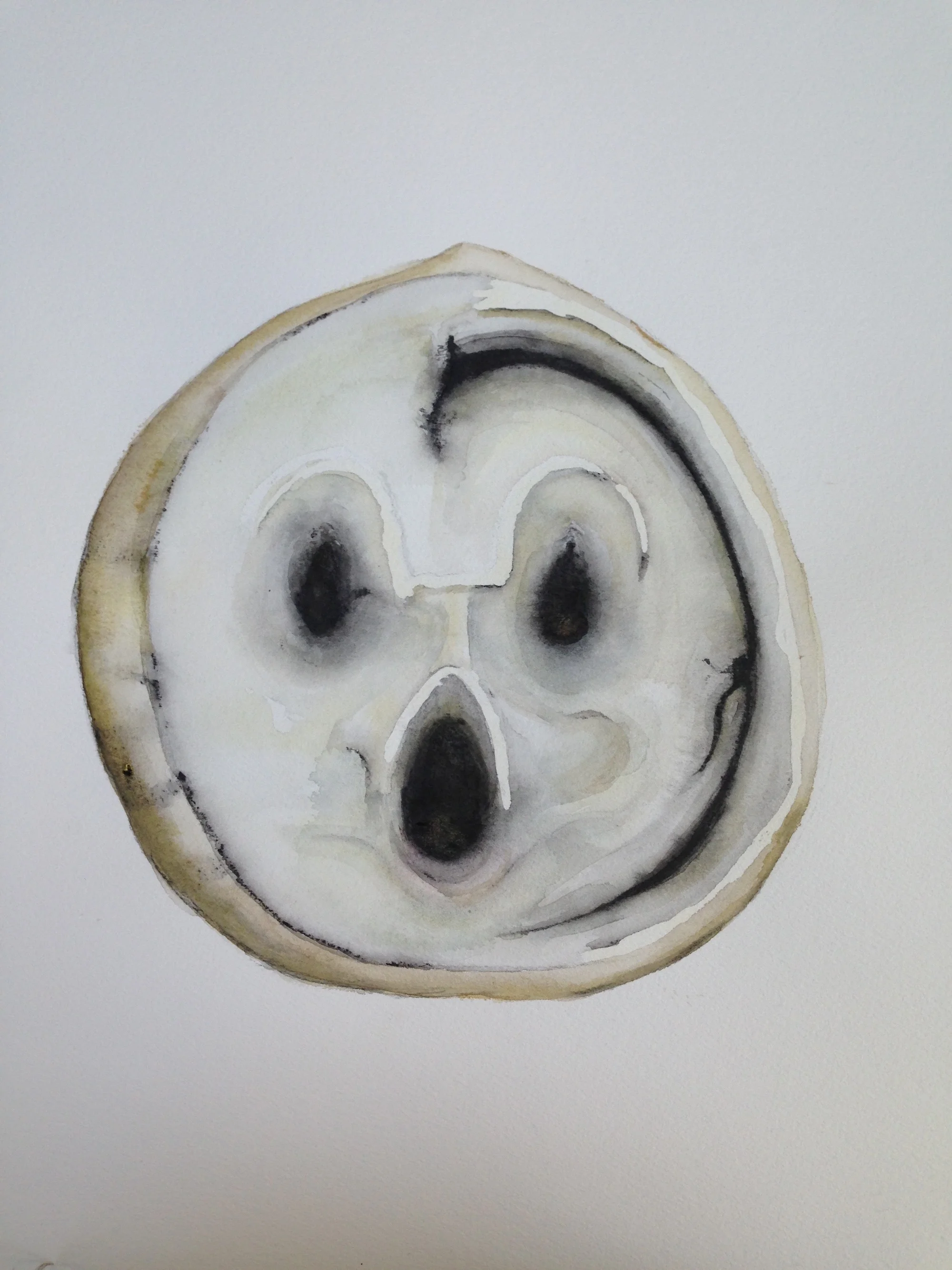 seal face