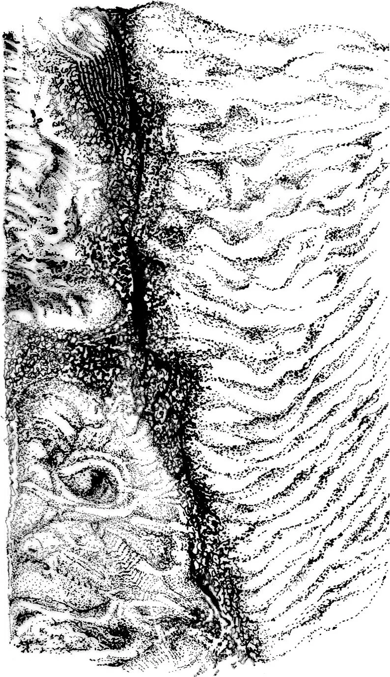 fault line