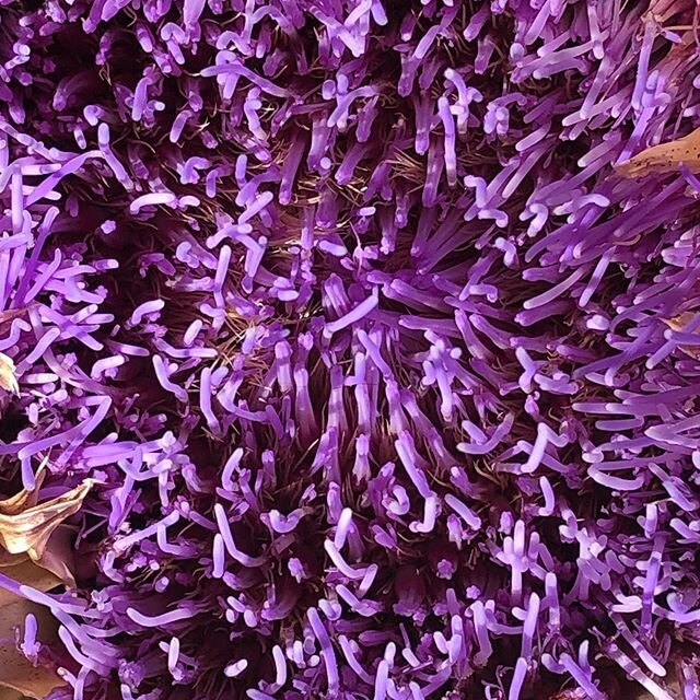 If you forget about an artichoke this is what happens