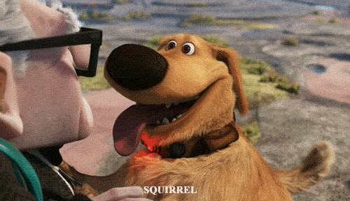 Via Giphy.com