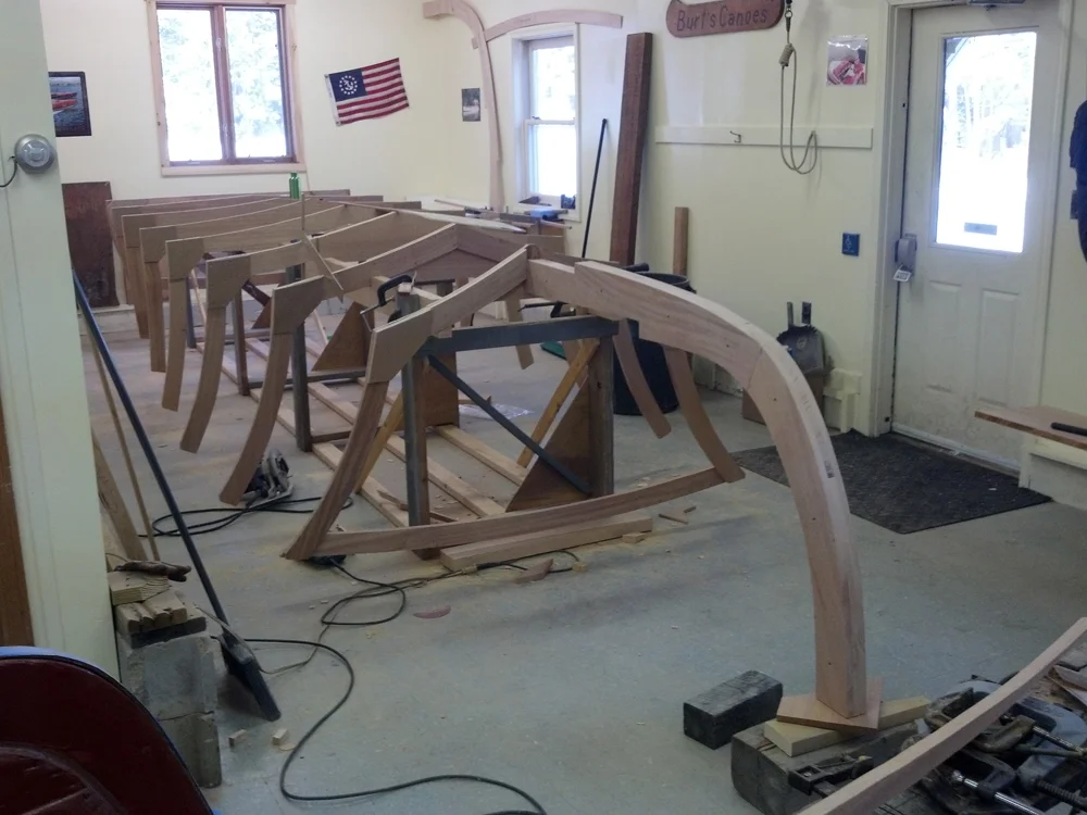 2013-01-29_08-49-48_988.jpg