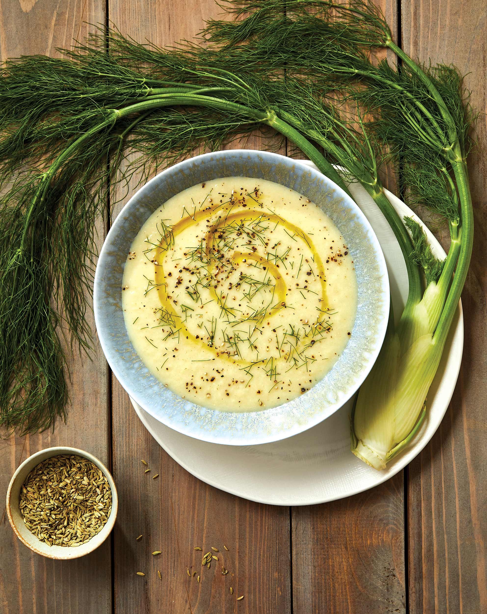 nyc-nj-cookbook-photographer-food-joy-of-balance-divya-alter-fennel-soup.jpg
