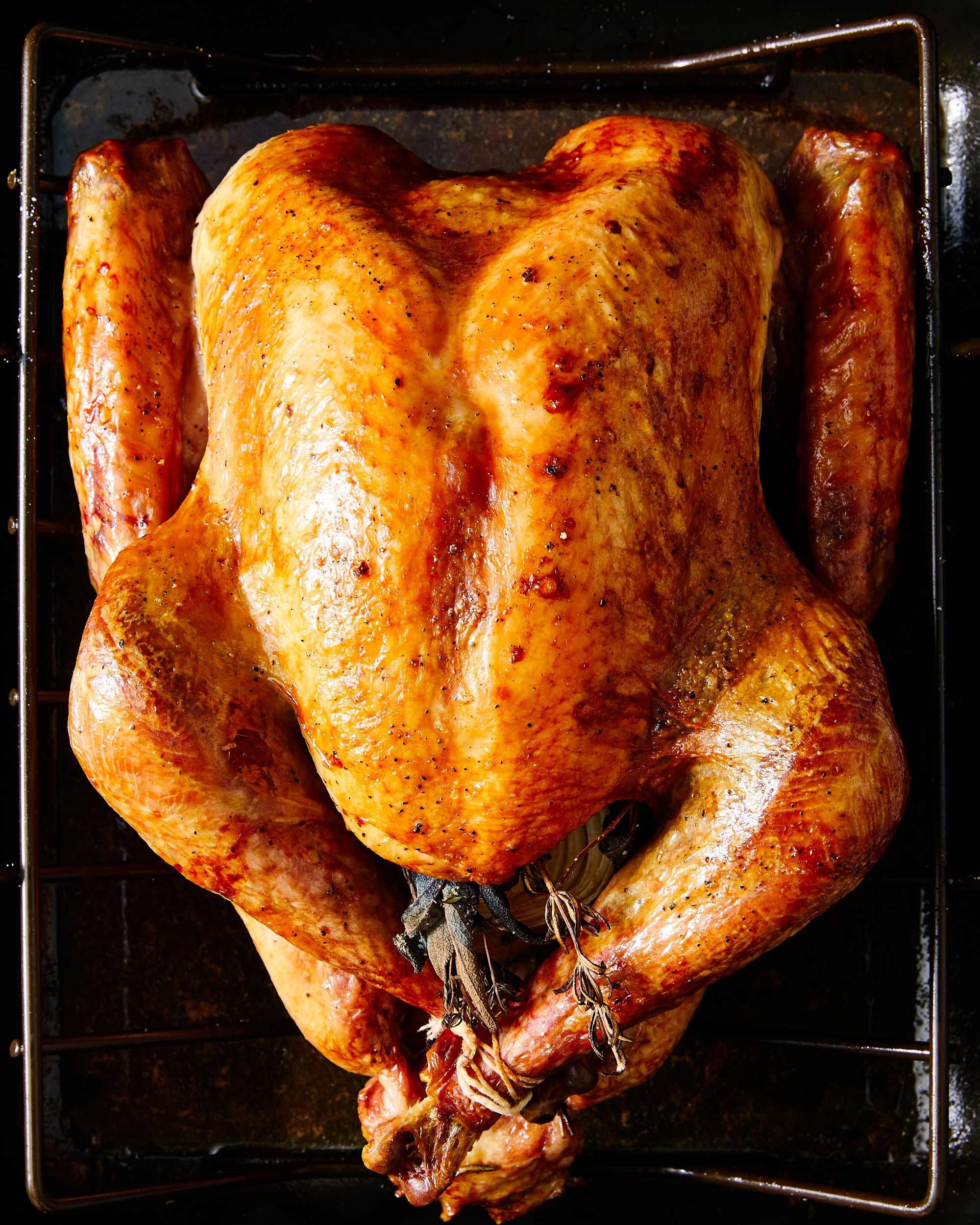 nyc-nj-food-editorial-photographer-roasted-turkey.jpg