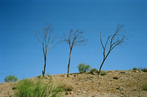 tumblr_meofo5ZXxF1r22jbt.jpg