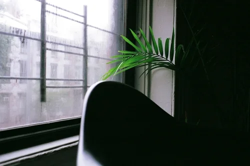 tumblr_meq6nqq0xF1r22jbt.jpg