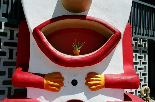 tumblr_meq4w7XLrB1r22jbt.jpg