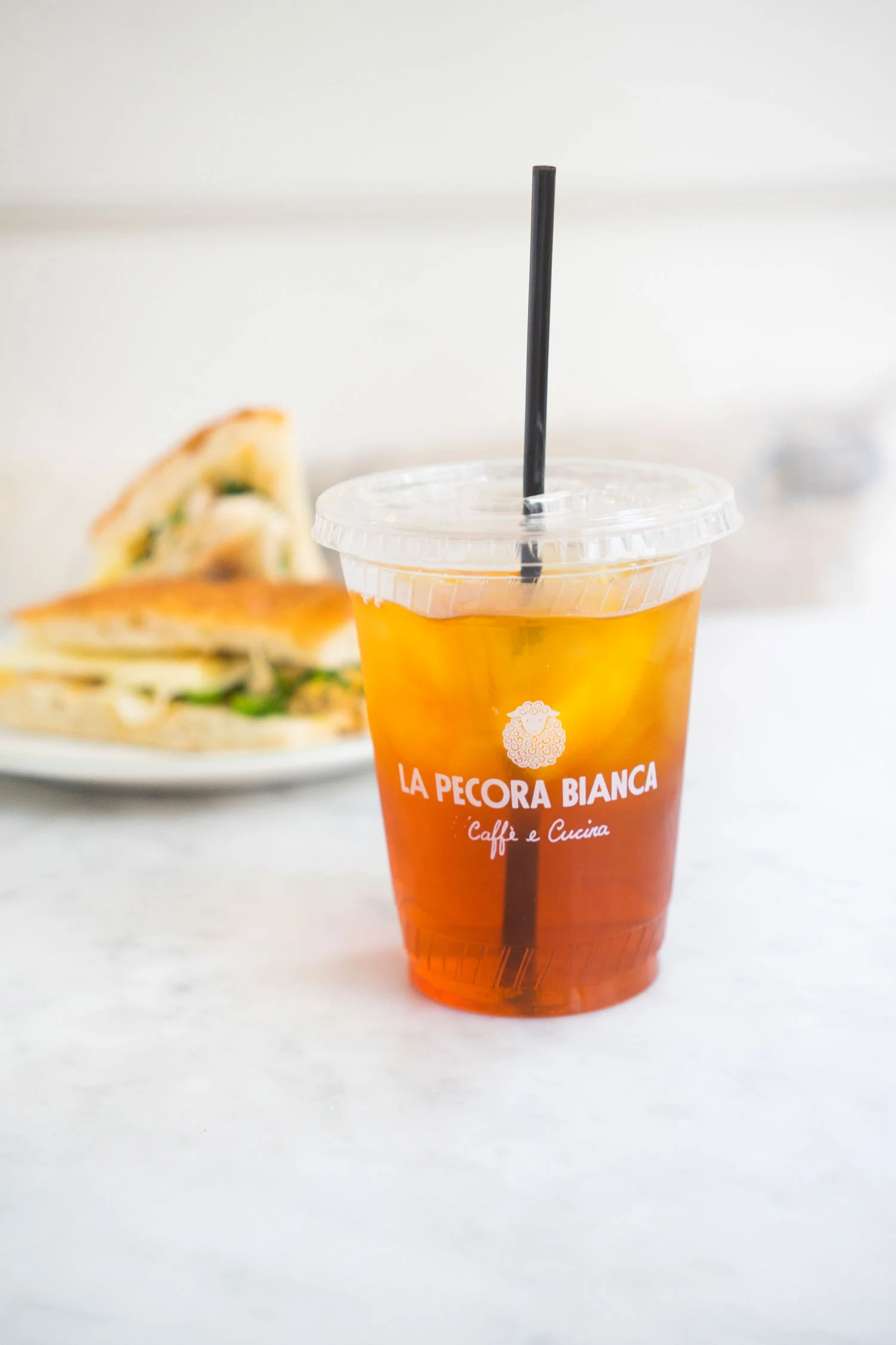 la-pecora-bianca-26.jpg