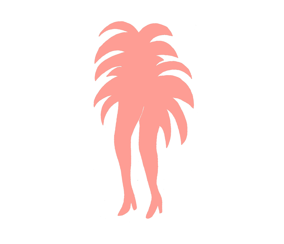 ty-williams-palm-legs.gif