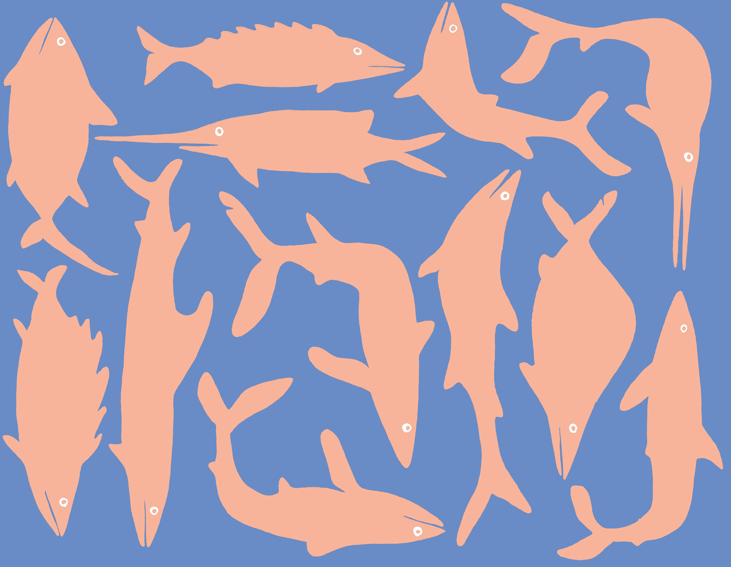 ty-williams-seafish-53-GIF.gif